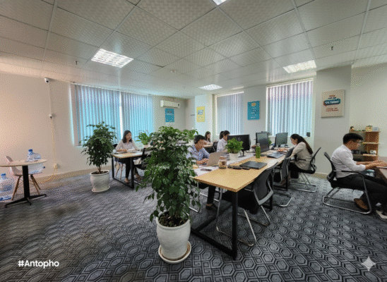 [HẢI PHÒNG] TUYỂN DỤNG NHÂN VIÊN LẬP TRÌNH 2